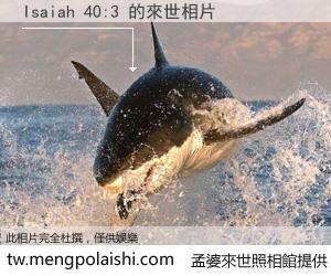 Isaiah 40:3 來世的未來相片