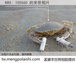 KRX: 105560 來世的未來相片