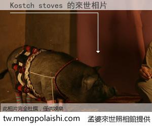 Kostch stoves 來世的未來相片