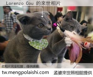 Lorenzo Cou 來世的未來相片