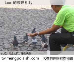 Leo 來世的未來相片