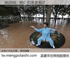 NASDAQ: WDC 來世的未來相片