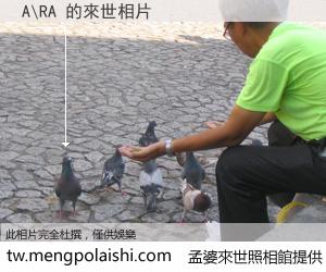 A\RA 來世的未來相片