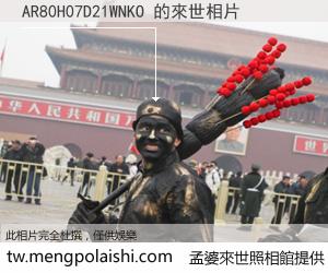 AR80H07D21WNKO 來世的未來相片