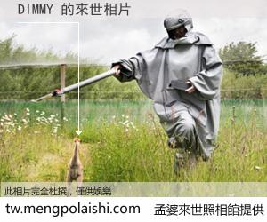 DIMMY 來世的未來相片