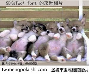 SDKsTwo* font 來世的未來相片