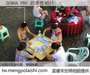 SENHA PRO 來世的未來相片