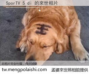 SporTV 5 di 來世的未來相片