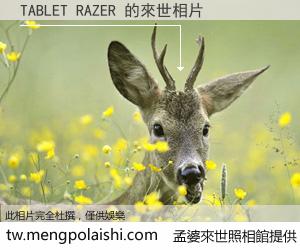 TABLET RAZER 來世的未來相片