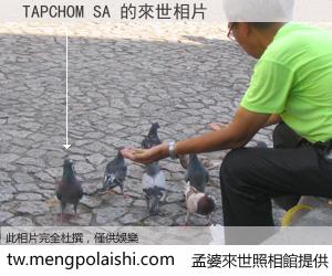 TAPCHOM SA 來世的未來相片