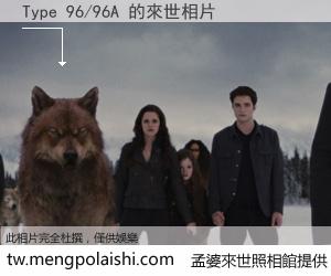 Type 96/96A 來世的未來相片
