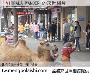 VIRPALA WANDER 來世的未來相片