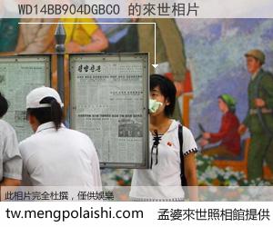 WD14BB904DGBCO 來世的未來相片