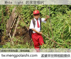 Whte light 來世的未來相片