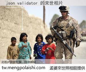 json validator 來世的未來相片