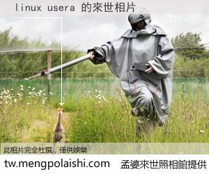linux usera 來世的未來相片