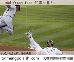 mod fresh food 來世的未來相片
