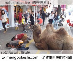 melun meaning 來世的未來相片