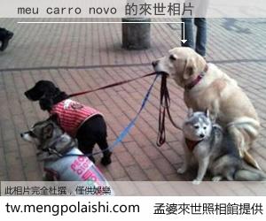 meu carro novo 來世的未來相片