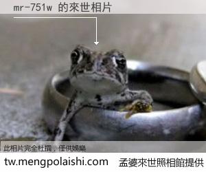 mr-751w 來世的未來相片