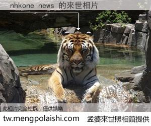 nhkone news 來世的未來相片