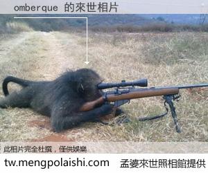 omberque 來世的未來相片