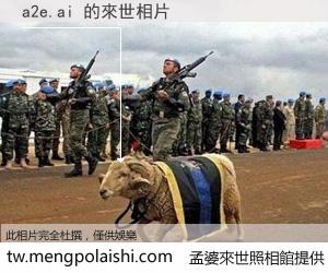 a2e.ai 來世的未來相片