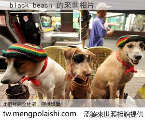 black beach 來世的未來相片