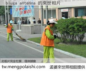 bluga antenna 來世的未來相片