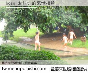boss drfit 來世的未來相片