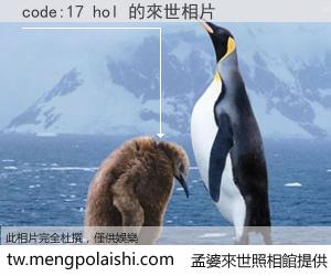 code:17 hol 來世的未來相片