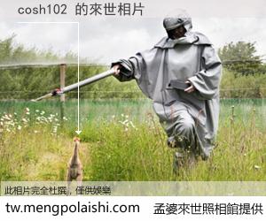 cosh102 來世的未來相片