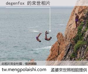 degenfox 來世的未來相片