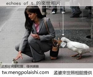 echoes of t 來世的未來相片