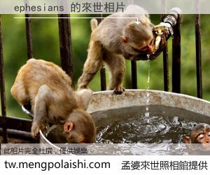 ephesians 來世的未來相片