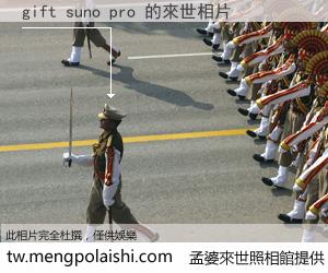 gift suno pro 來世的未來相片