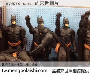 gynpro s.r. 來世的未來相片