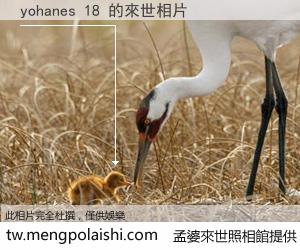 yohanes 18 來世的未來相片