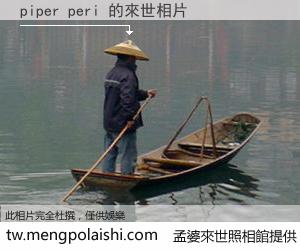 piper peri 來世的未來相片