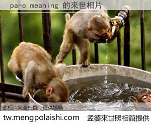 pa-c meaning 來世的未來相片