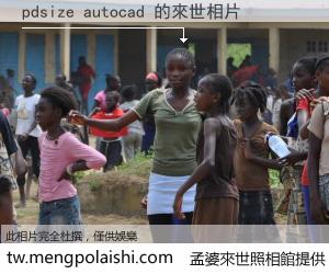 pdsize autocad 來世的未來相片