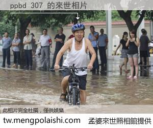 ppbd 307 來世的未來相片