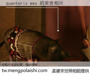 quanterix wes 來世的未來相片