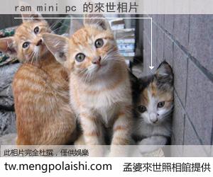 ram mini pc 來世的未來相片