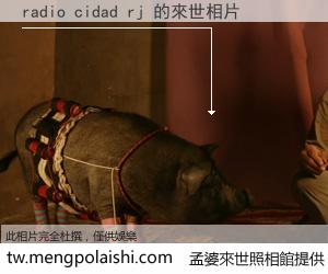 radio cidad rj 來世的未來相片