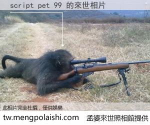 script pet 99 來世的未來相片