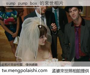 sump pump box 來世的未來相片