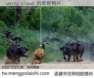 unity cloud 來世的未來相片