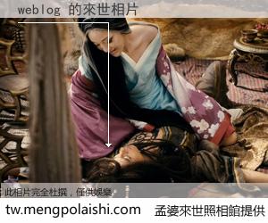 weblog 來世的未來相片