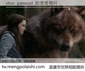 xbox gamepad 來世的未來相片